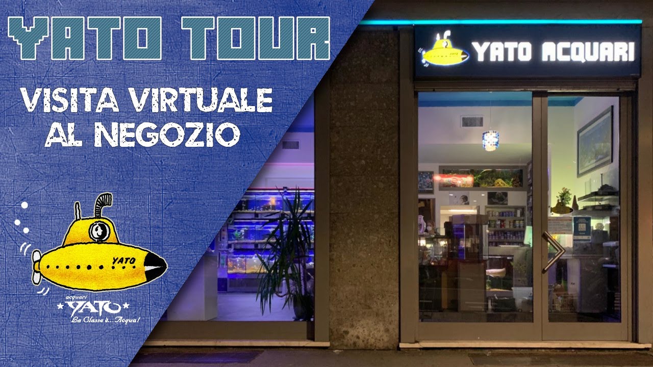 Paolo ci guida in una visita virtuale del negozio Yato Acquari!