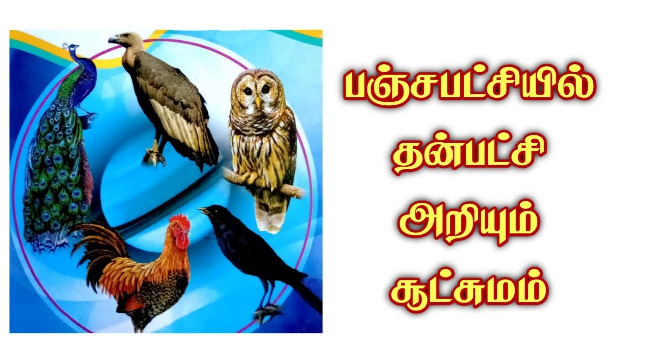 பஞ்சபட்சியில் தன்பட்சி அறிய/Panchapatchi sasthra/Dr.S.Gopalakrishnan+919894285755