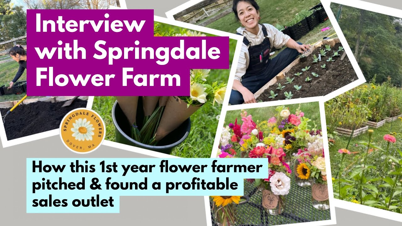Springdale Flower Farm: How this 1st yr flower farmer pitched & found a profitable sales outlet
