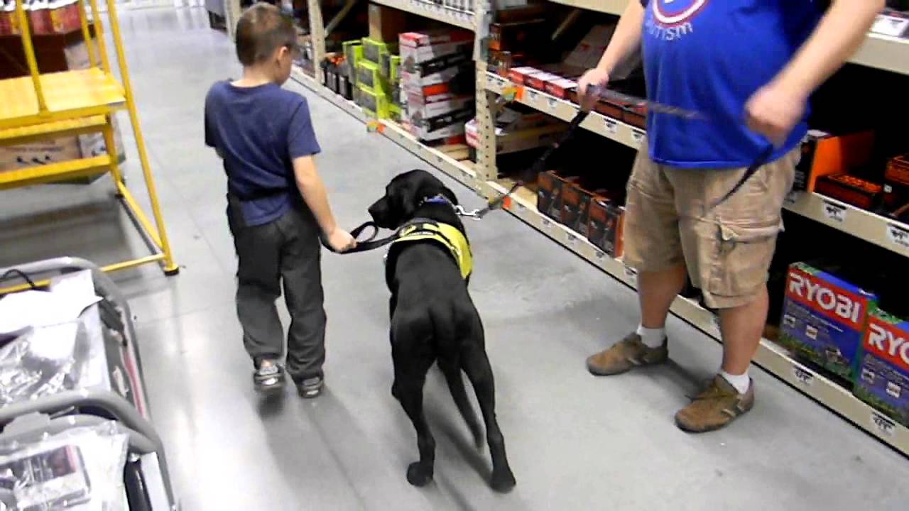 On Command Canine Training Center /Autism Service Dog Training