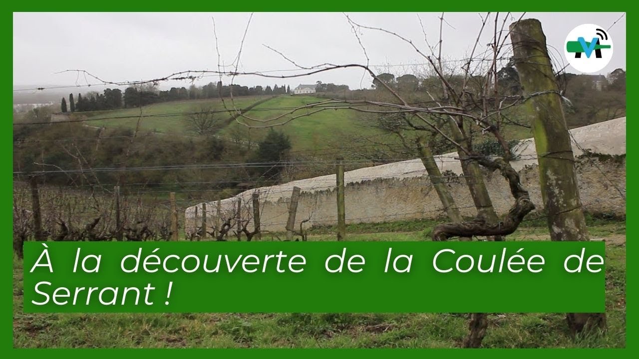 À la découverte de la Coulée de Serrant
