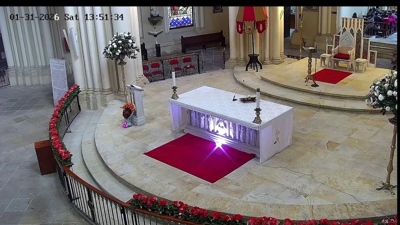 Transmisión Eucaristía Basílica de Lourdes   2026