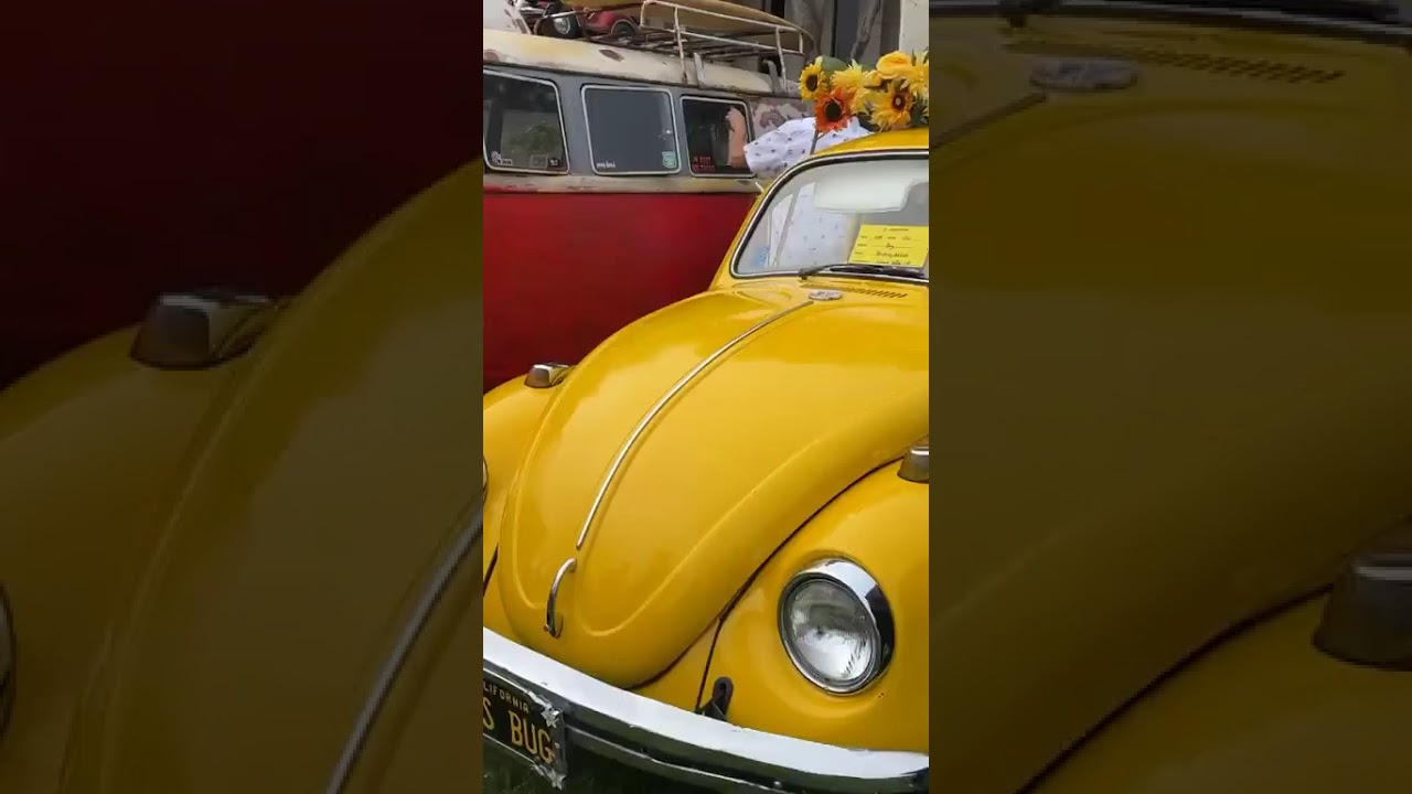 Concours d’Lemons 2025