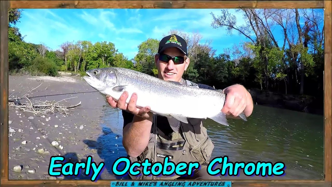 Early October Chrome - Float Fishing Steelhead 2021