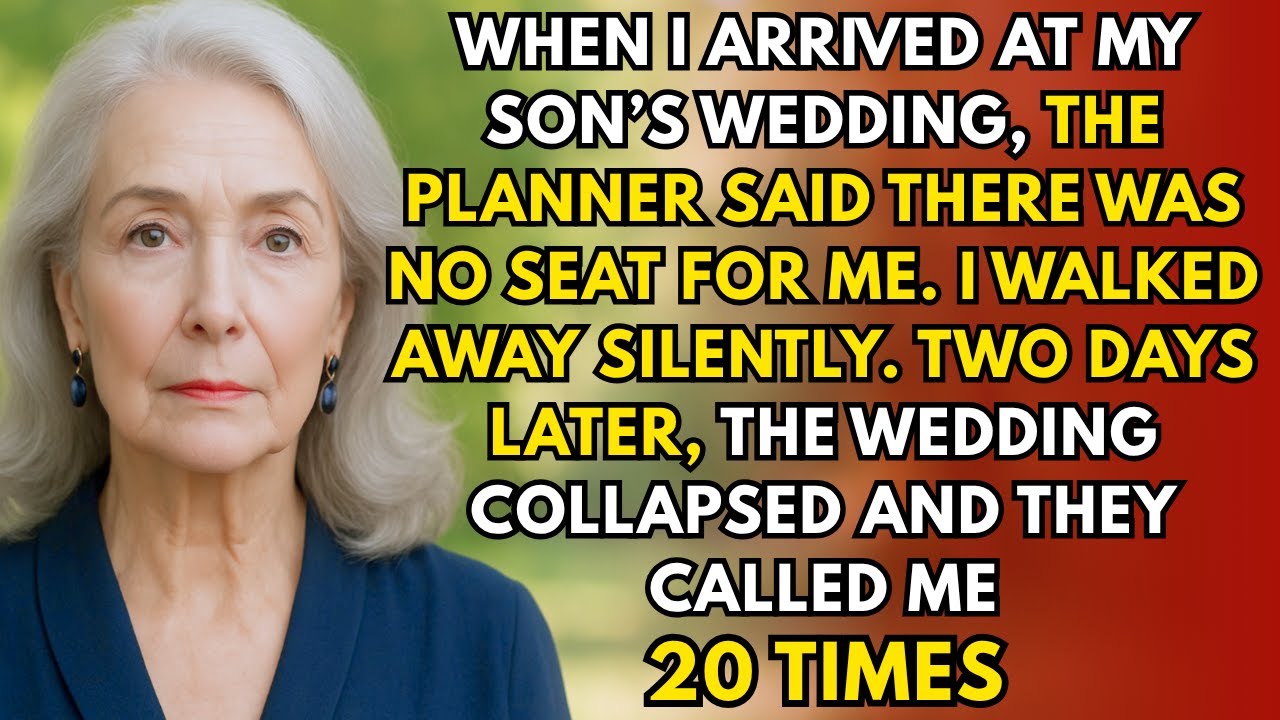 My Son Said There Was No Seat for Me at His Wedding — So I Canceled It Silently and It Collapsed