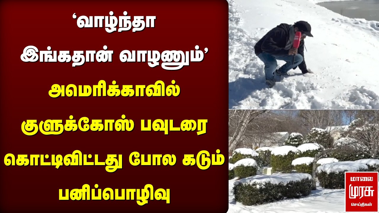 அமெரிக்காவில் குளுக்கோஸ் பவுடரை கொட்டிவிட்டது போல கடும் பனிப்பொழிவு | America Snow Fall
