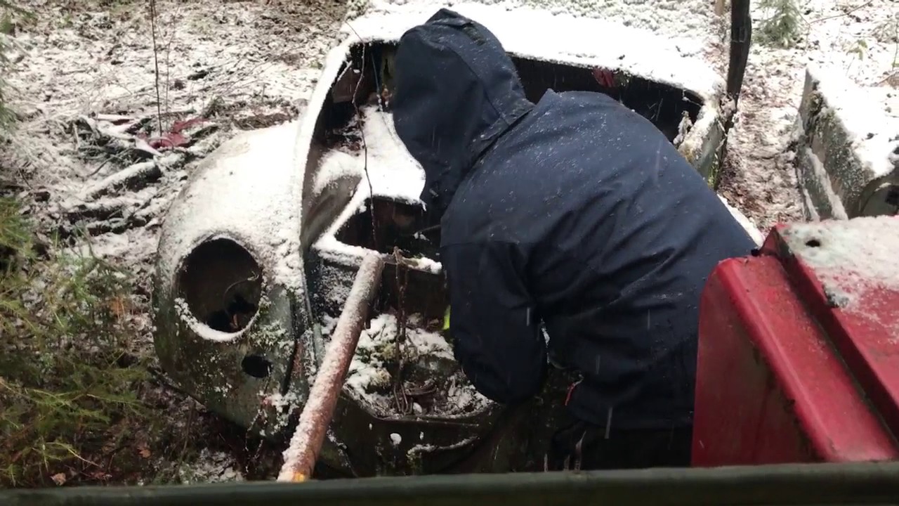 vw beetle rescue