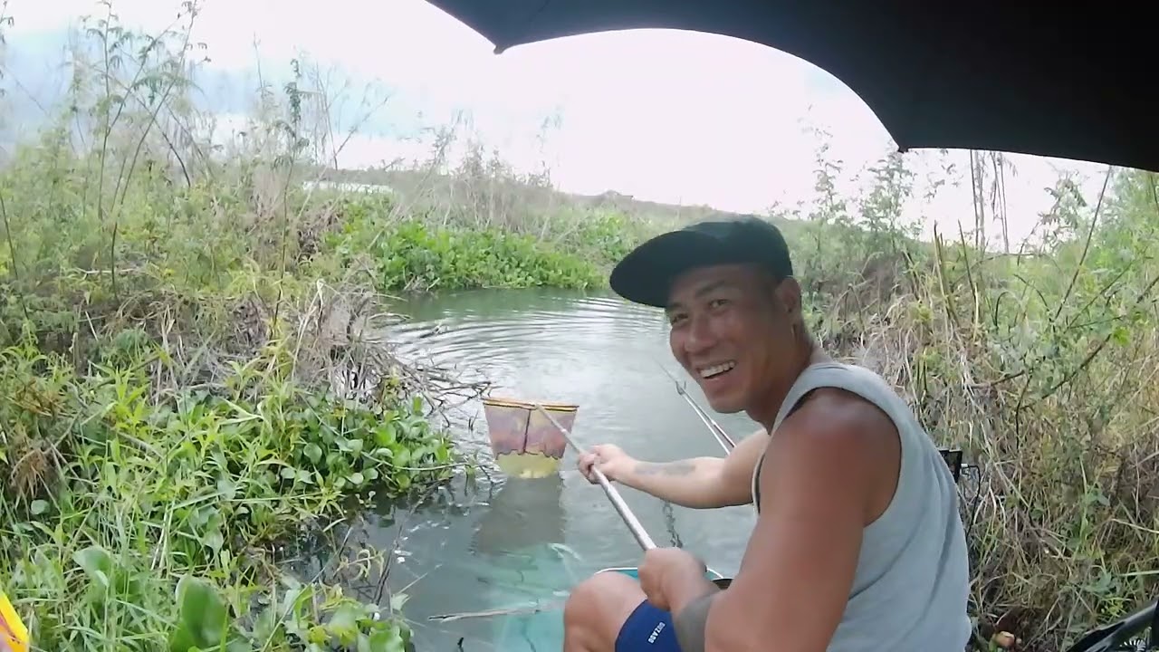 Ngày thứ 5 điểm palet huyền thoại khá hơn rồi ae