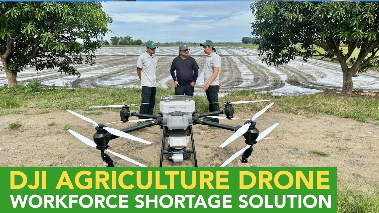 DJI Agriculture Drone: Solution to Workforce Shortage, Mabilis, Madali ang Rice Farming!