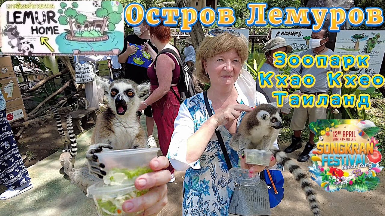 Остров с Лемурами, Зоопарк Кхао Кхео Таиланд, как Забавные Лемуры едят с рук смотрите на Ютуб