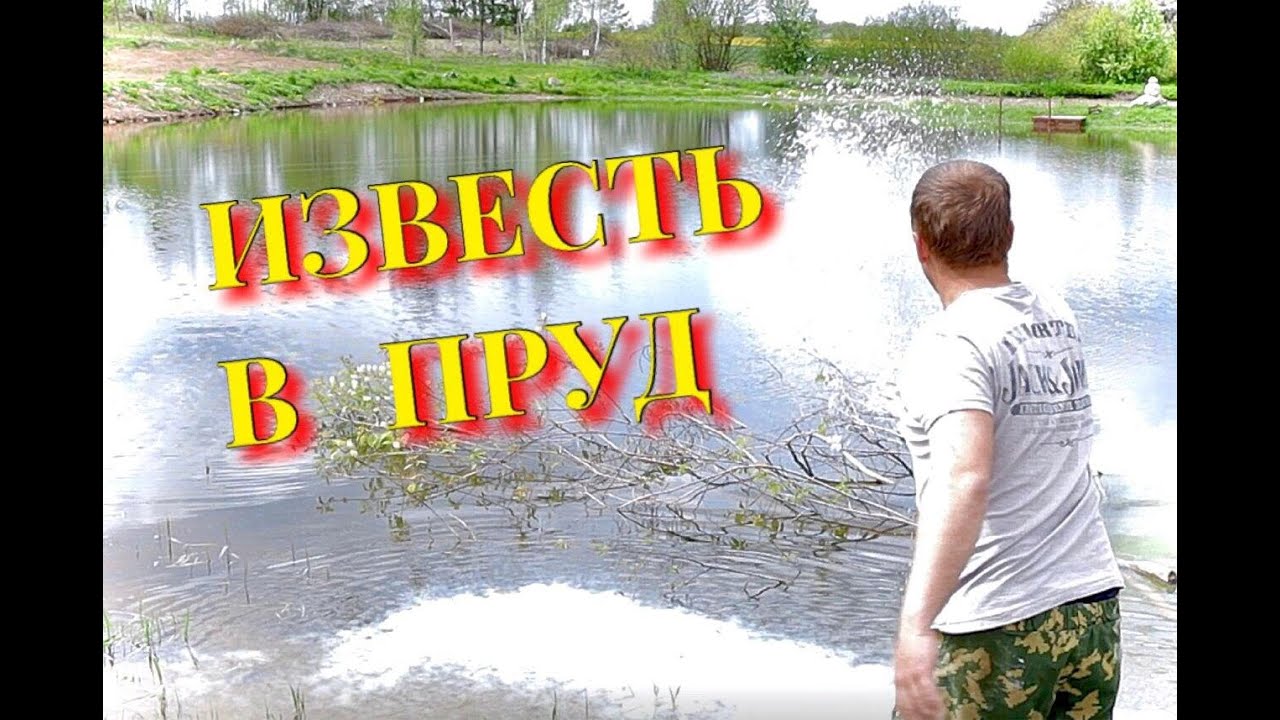 Вношу известь в свой пруд известкование водоёма, 20кг негашёной извести