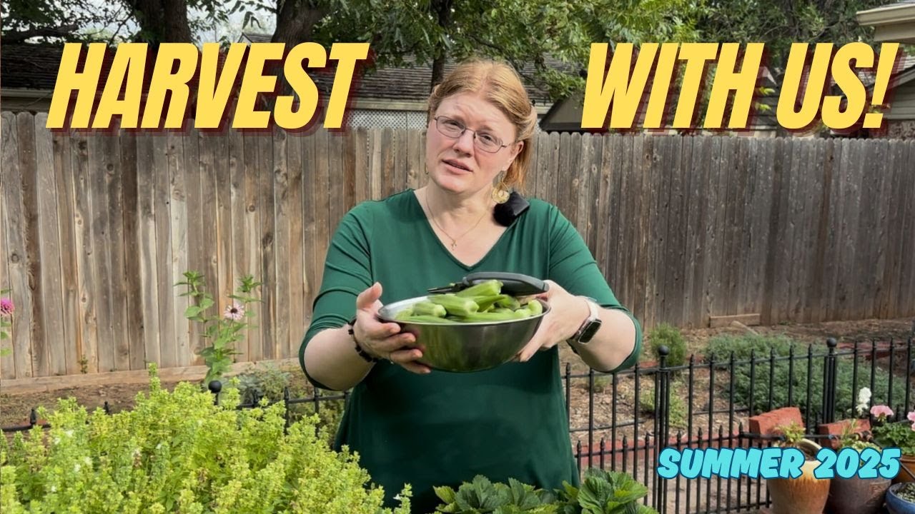 Our Backyard Garden Is Still Growing Strong!