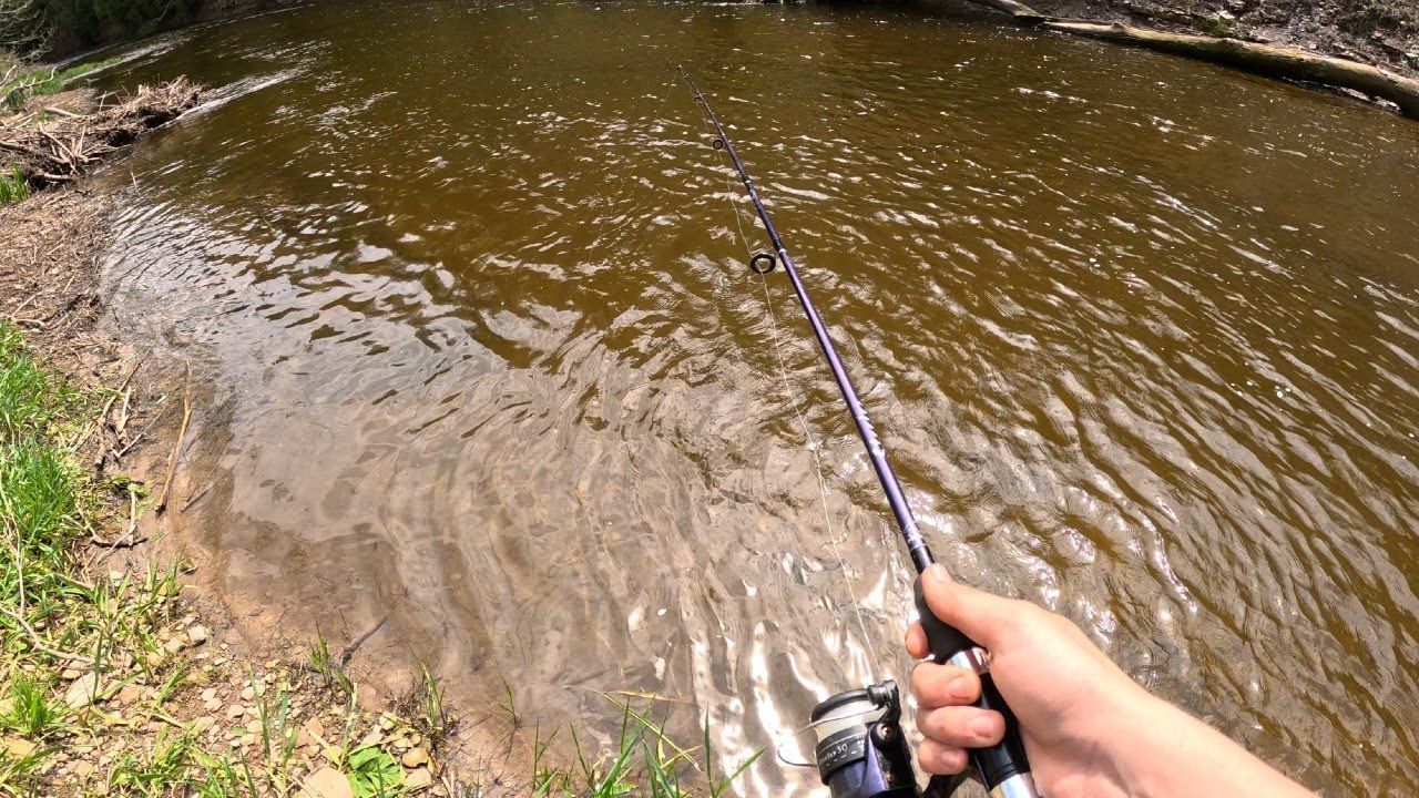 day of fishing at Bronte Creek