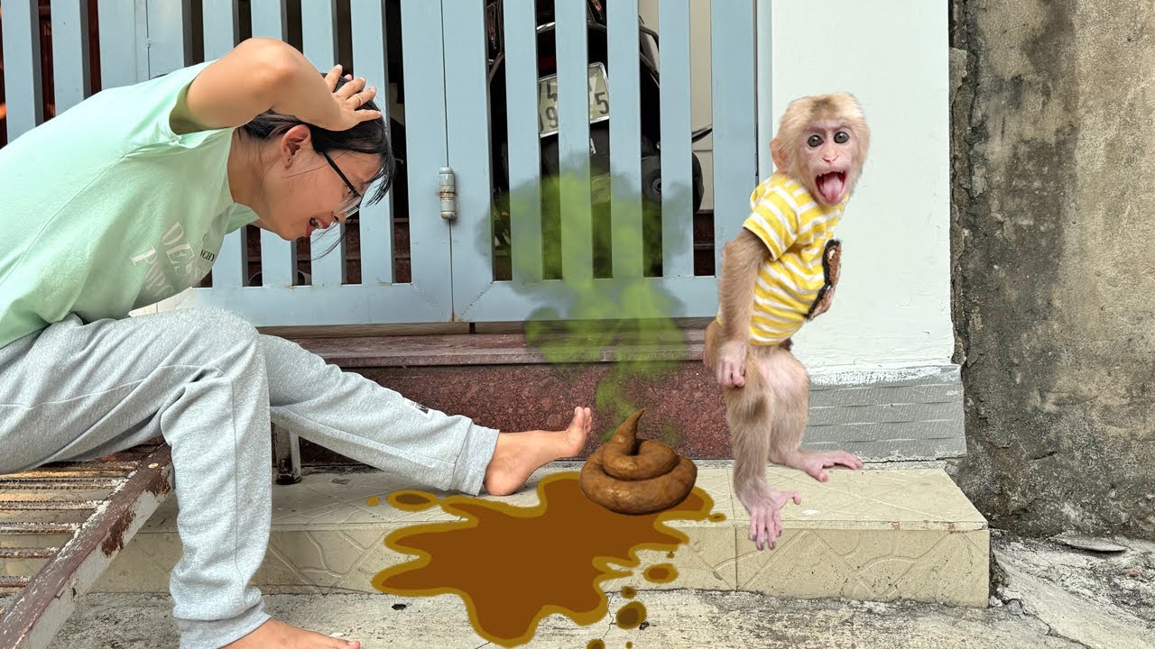 Non-stop laughter: Lucky gets mom in trouble by pooping everywhere!