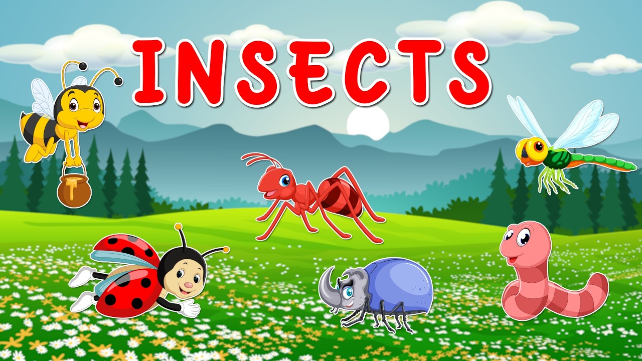 🐞 Let's Meet the Bugs! | Fun Insect Learning Video for Preschoolers 🐝