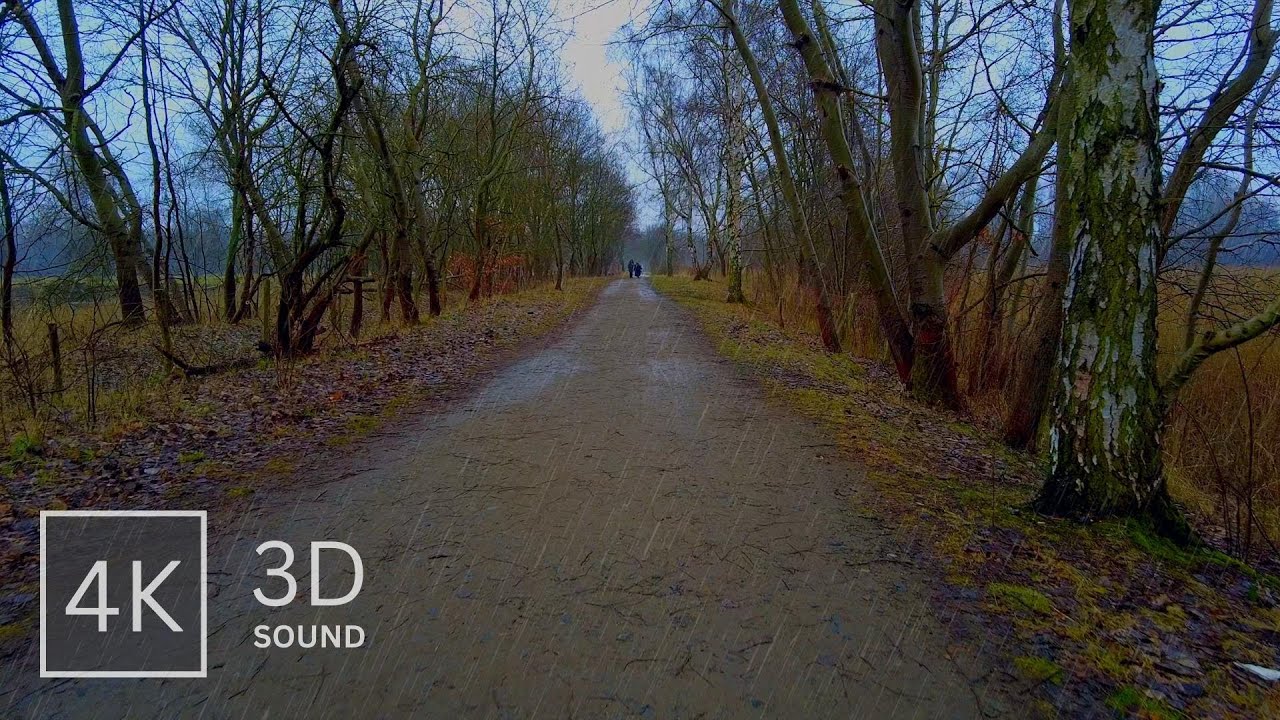 Walking in the Rain  ☔ Relaxing Rain, Umbrella & Nature Sounds | 4k & 3D Binaural - ASMR