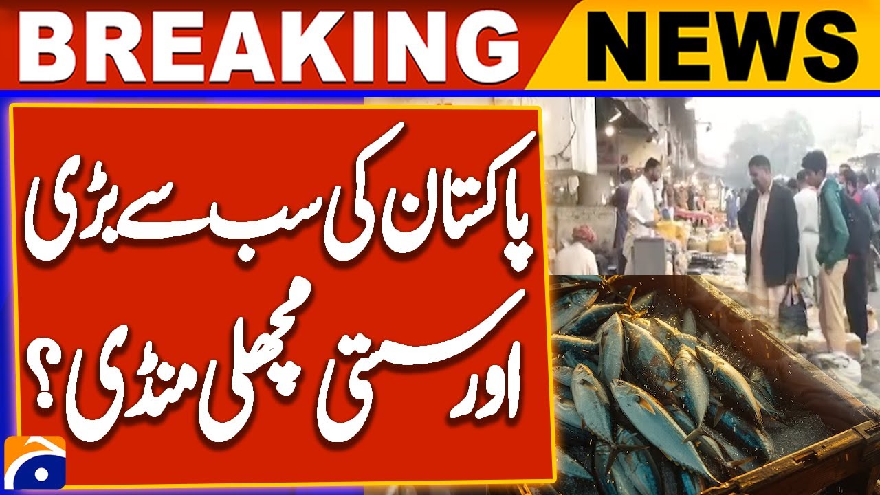 Cheapest wholesale Fish Market in Pakistan ? | Geo News
