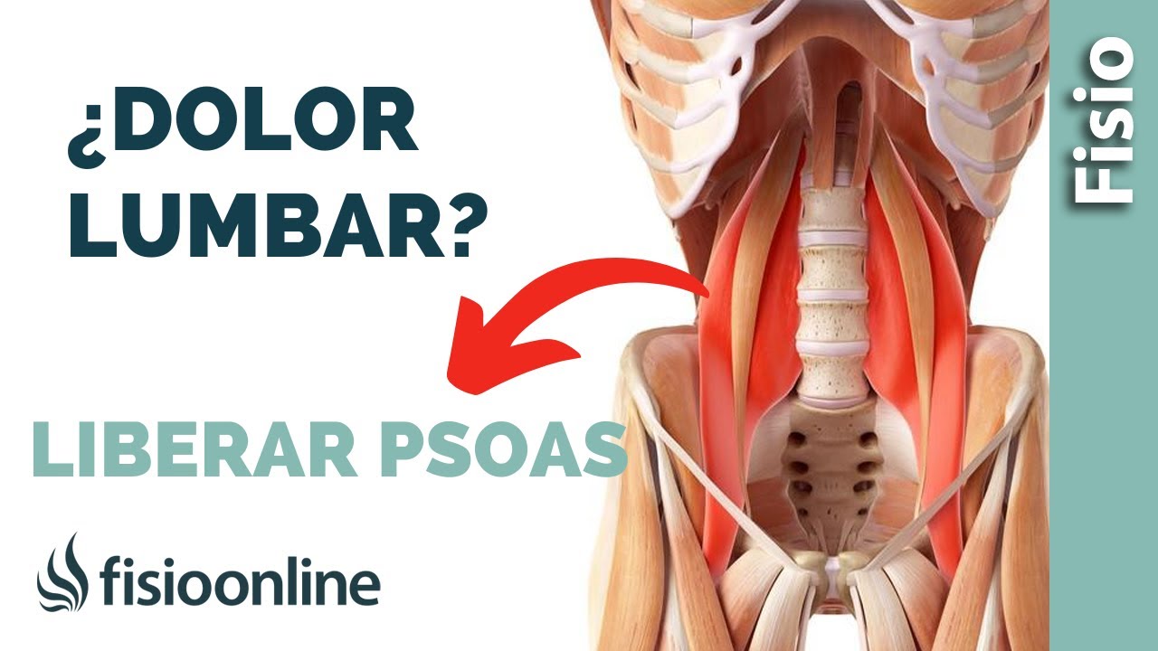 RUTINA para aliviar el DOLOR y la tensi&oacute;n del PSOAS 💥