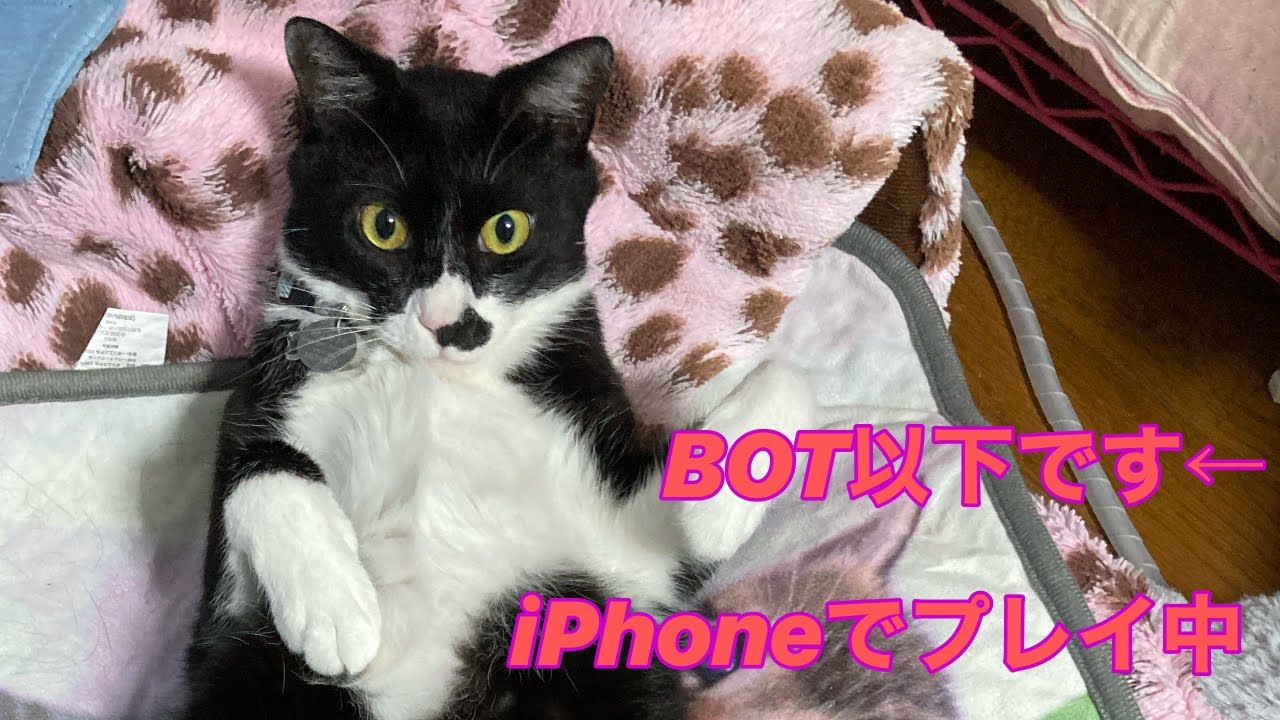 BOT以下のiPhoneプレイ