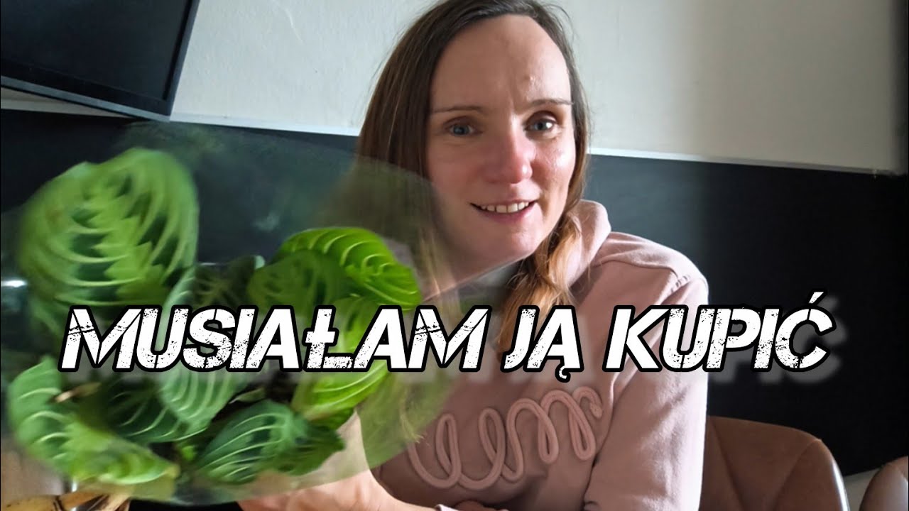 Roślinne upadki🌿tej dam szansę 