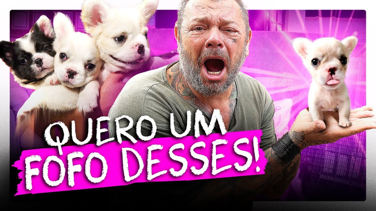 A PRIMEIRA NINHADA EWOK NASCEU COM FILHOTES RAROS! | RICHARD RASMUSSEN