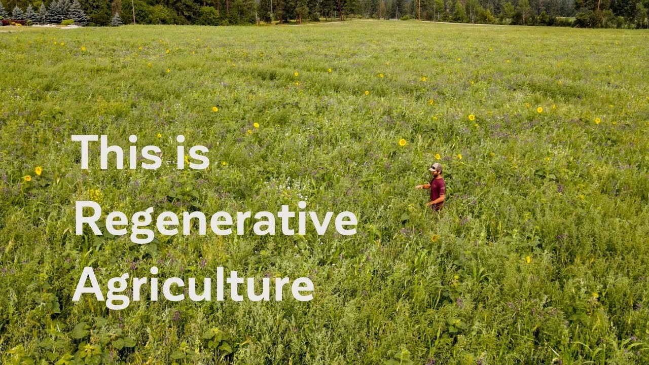 This is Regenerative Agriculture - Sustainability in Farming