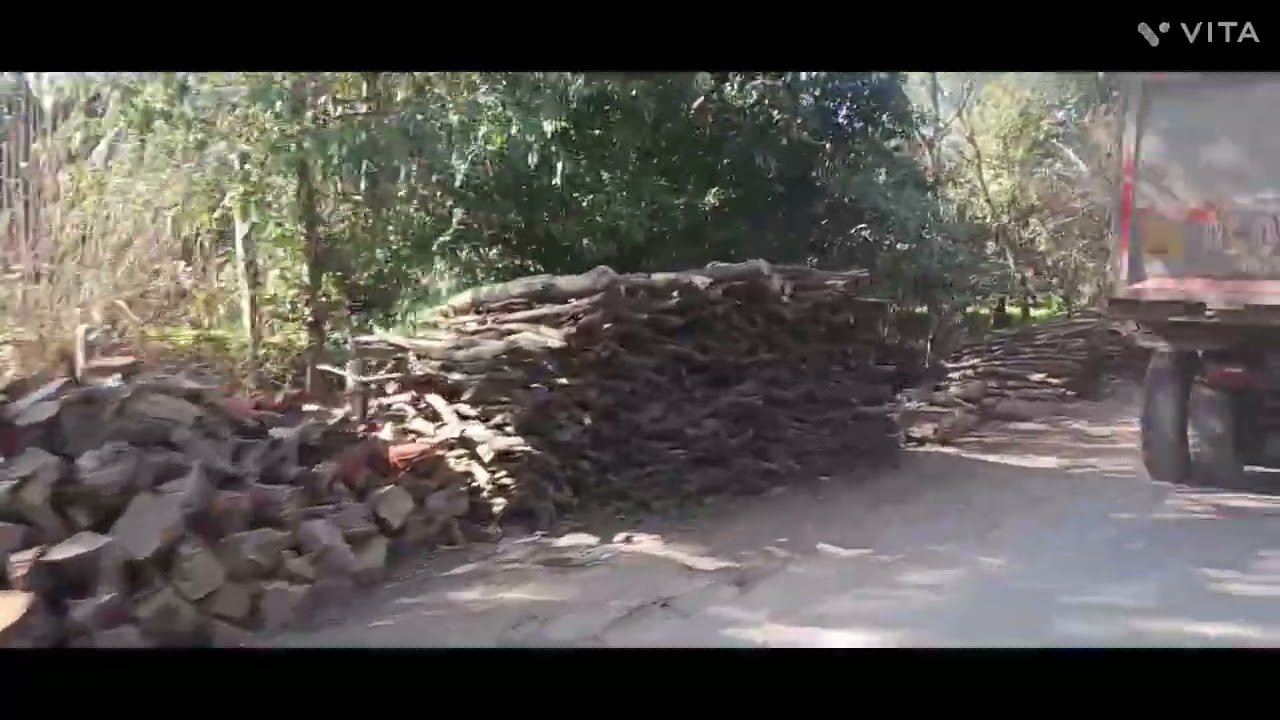 चंडीगढ़ से हरिद्वार का सफर और रूड़की से धनोरी के बीच लकड़ी का बाजार....