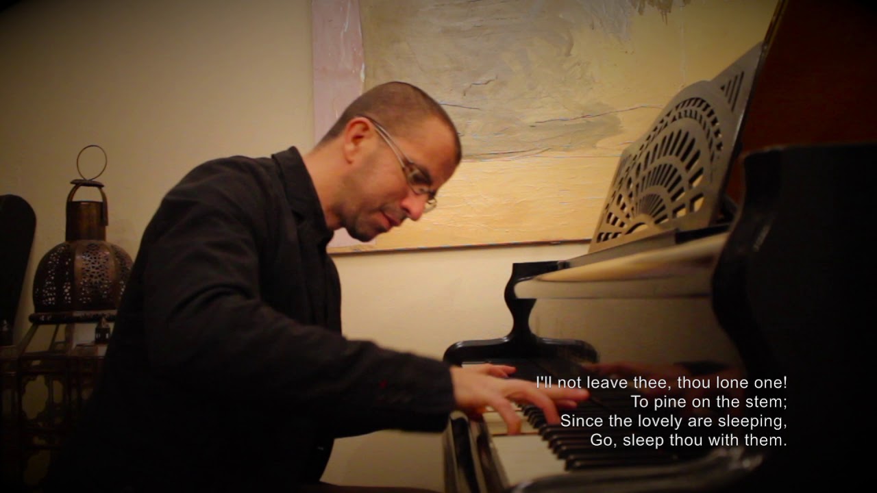 The Last Rose of Summer - Piano (lyrics on screen)