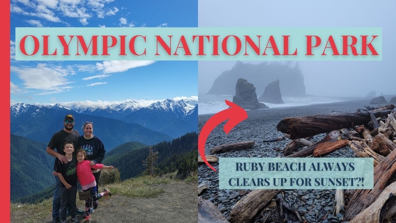 What To Do And See At Olympic National Park! | Lake Crescent | Ruby Beach | Tree of Life | Mountains