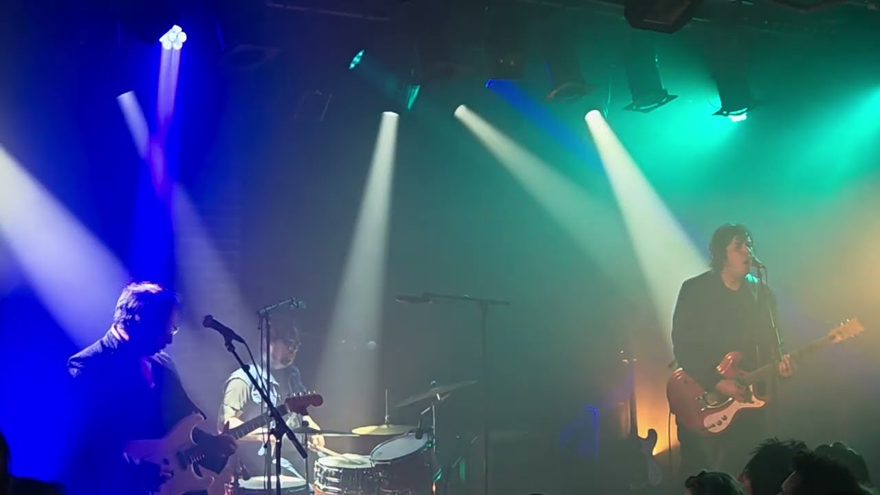 Kid Congo & The Pink Monkey Birds - Never Said - Paris - 11/03/2026