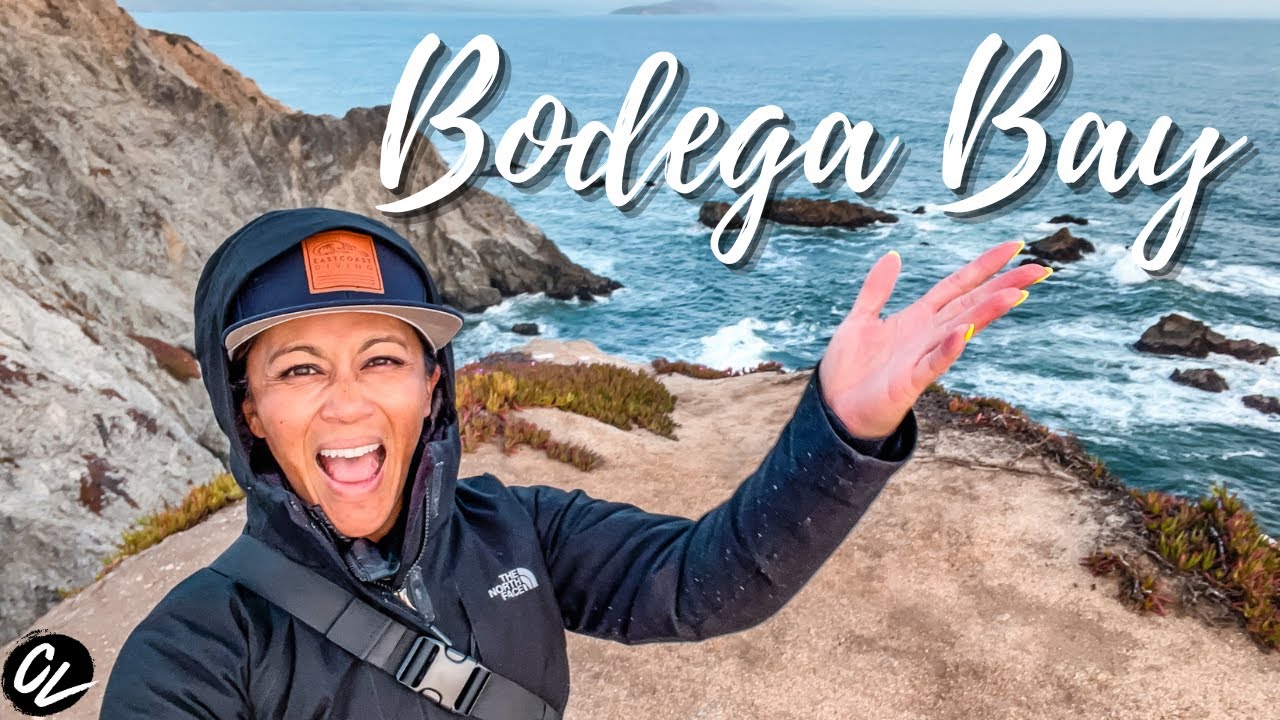 Top things to do in BODEGA BAY!