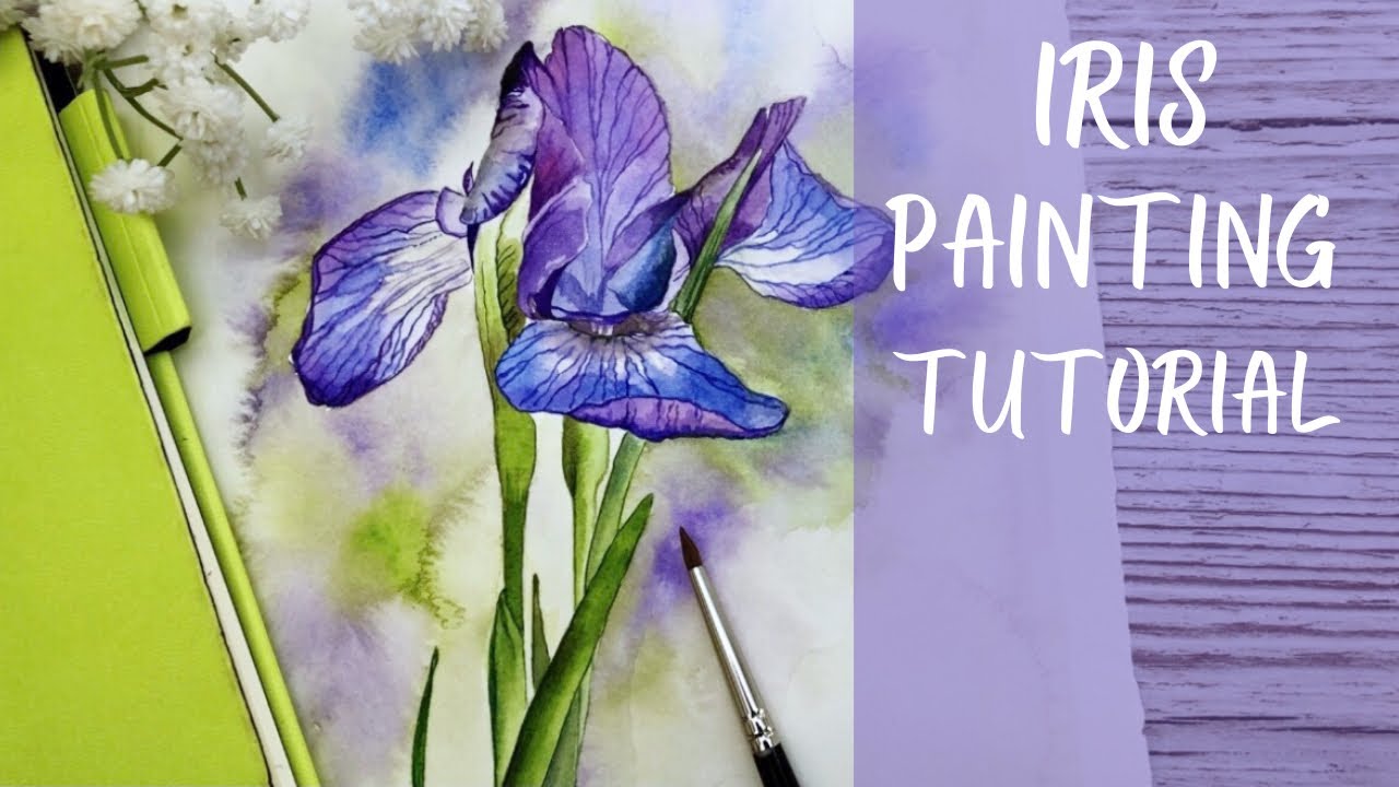 STEP BY STEP IRIS PAINTING - with just 5 colours