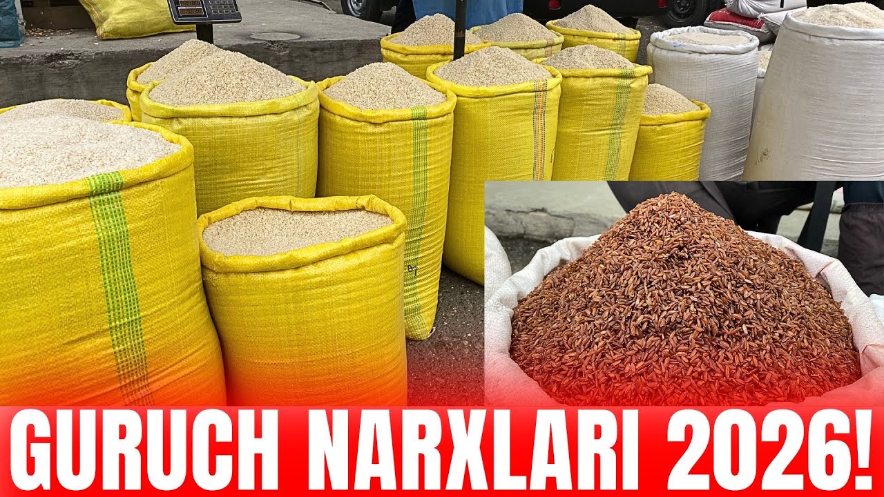2026-йил! БОЗОРДА ГУРУЧ НАРХЛАРИ ҚАНДАЙ? ОПТОМ ГУРУЧЛАР 2026 | АНДИЖОН