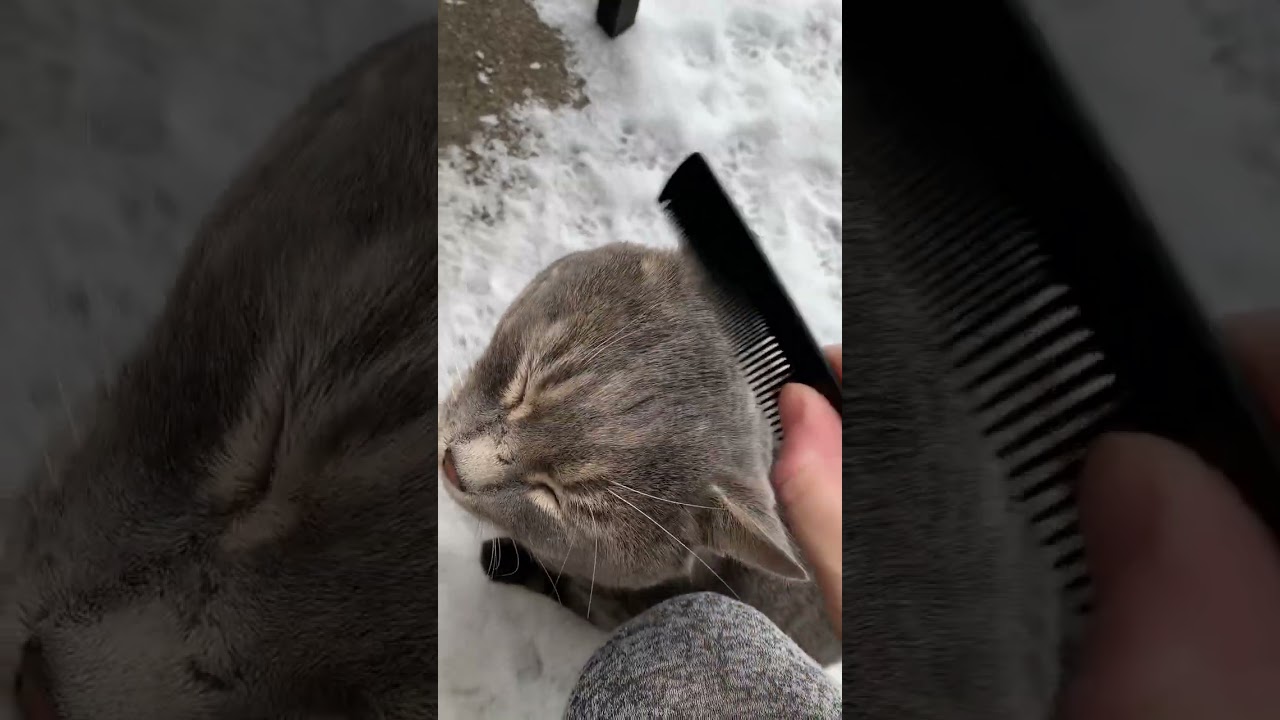 Marvin's Happy Hour. 