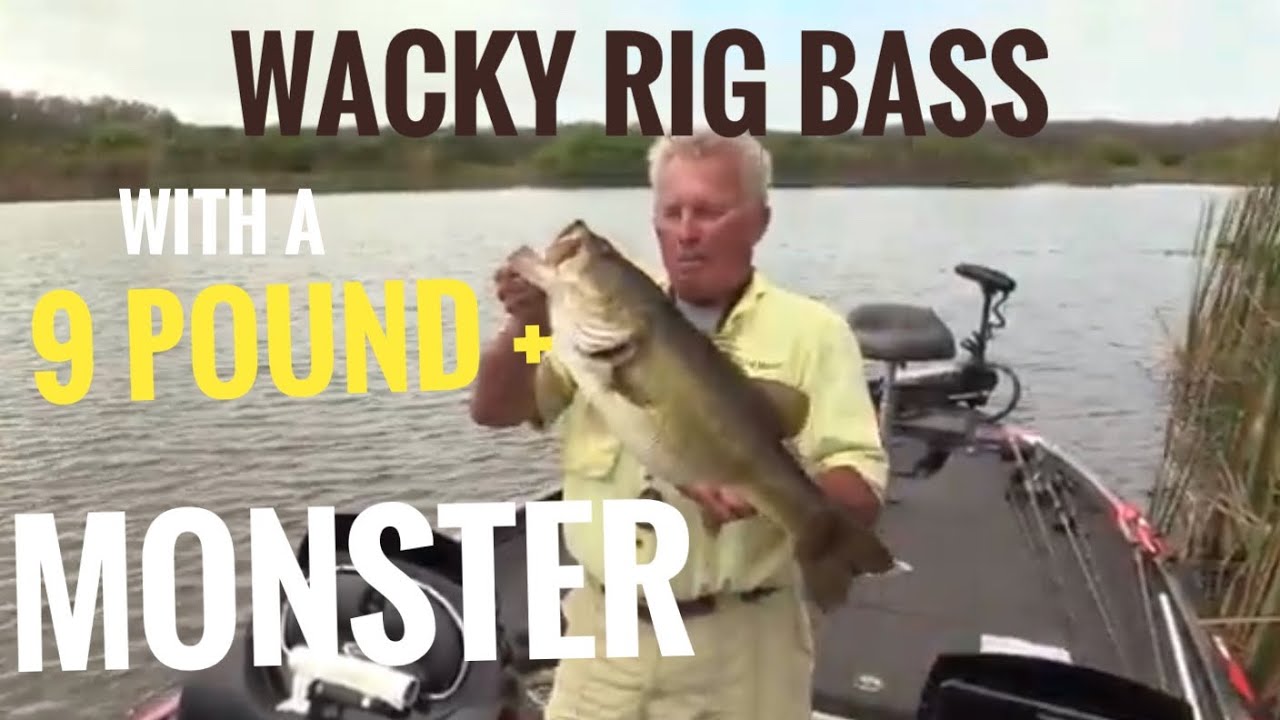 Wacky rig Bass with a 9 pound + topwater Monster