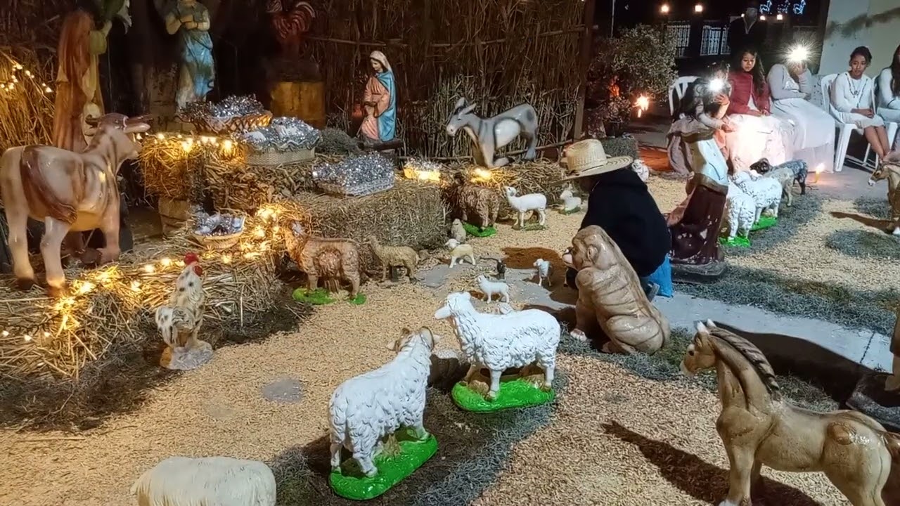 ofrecimiento de animalitos al niño dios