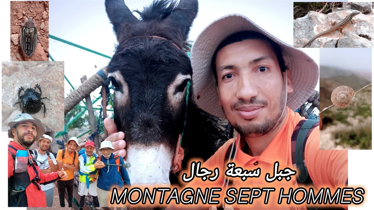جبل سبعة رجال، قمة ثمزوخت أعلى قمة بجبال كبدانة montagne Sept hommes, sommet Thamzoukht