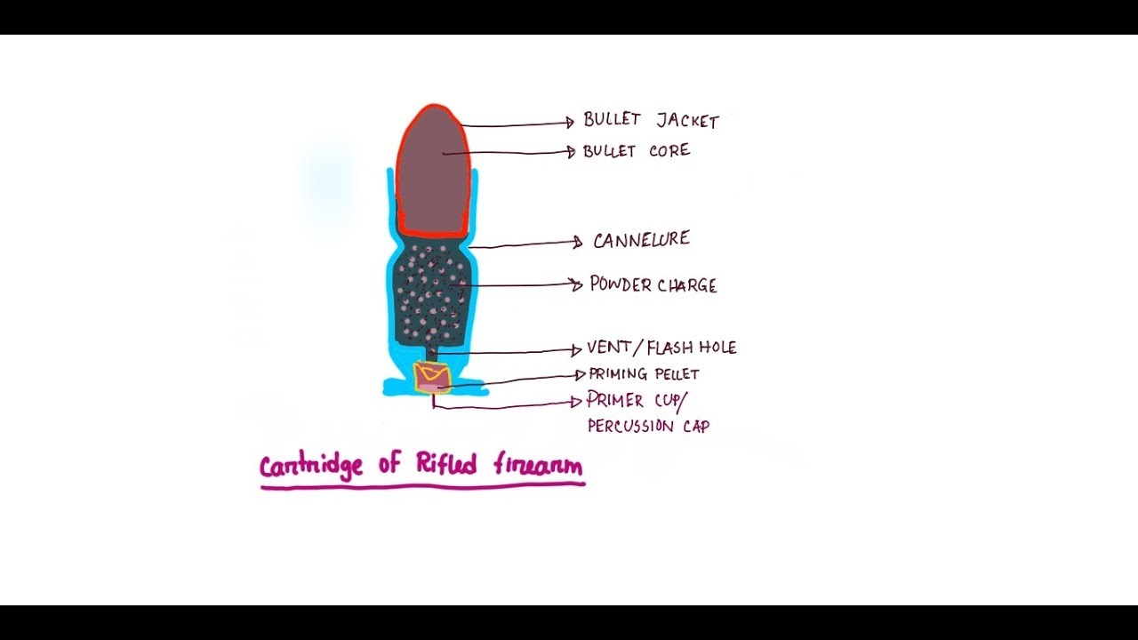 Cartridge and gunpowder - types and composition || Forensic Medicine