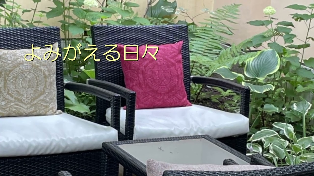 一枚の写真/ 伍代夏子/cover kanna keiko