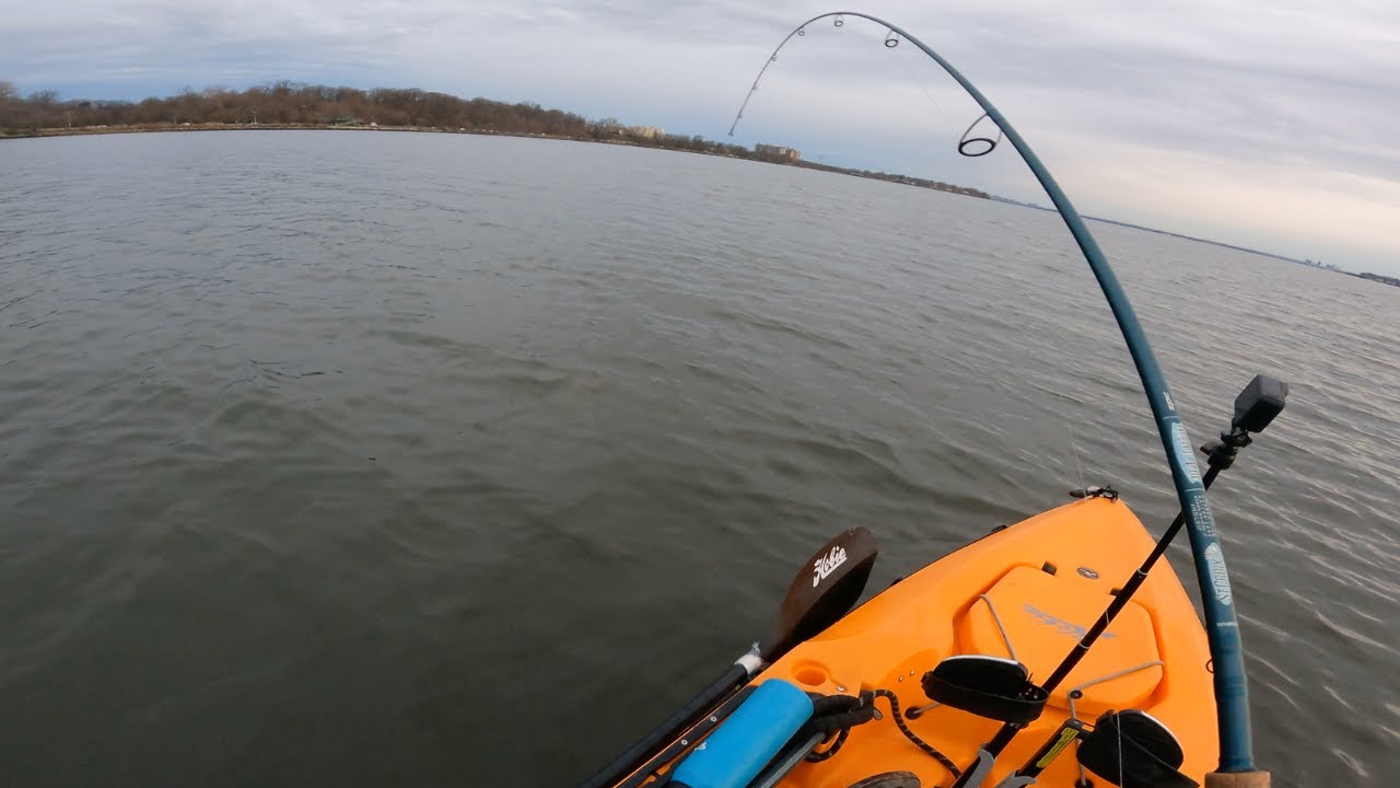 Striped Bass Fishing in NYC Waters | Western LI Sound Kayak Fishing