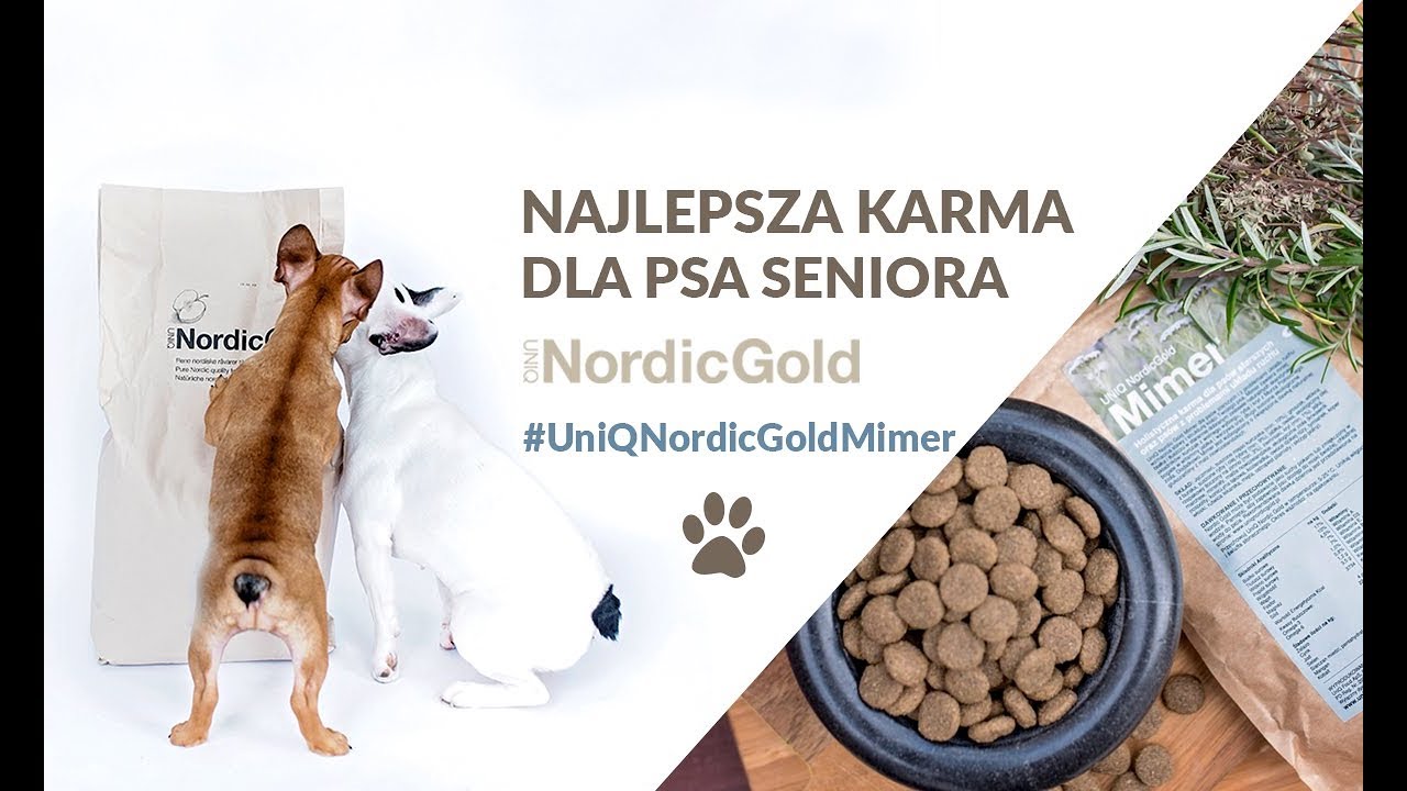 Najlepsza karma dla psa seniora - UniQ Nordic Gold Mimer