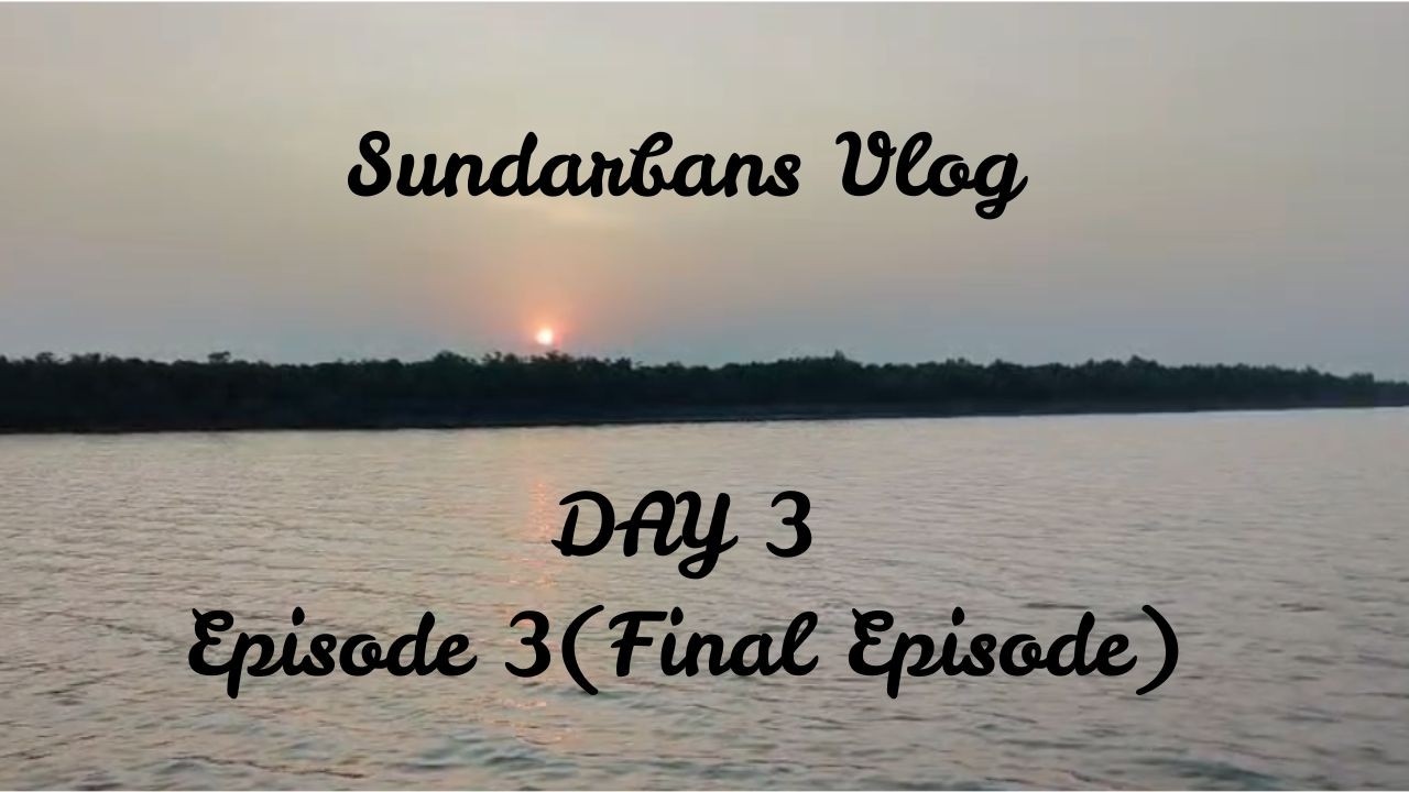 Kolkata To Sundarbans Tour 2026 (FINAL EPISODE)|The Moment I Saw Two Tigers in the Mangrove Forest!!