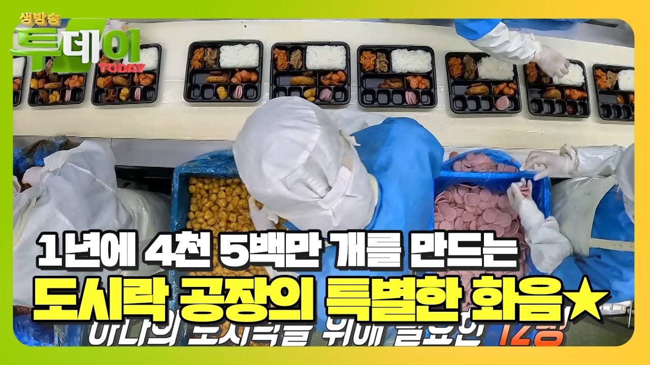 ‘도시락×삼각김밥 공장’ 하루 5톤 12만 개 생산! #생방송투데이 #LiveToday #SBSstory