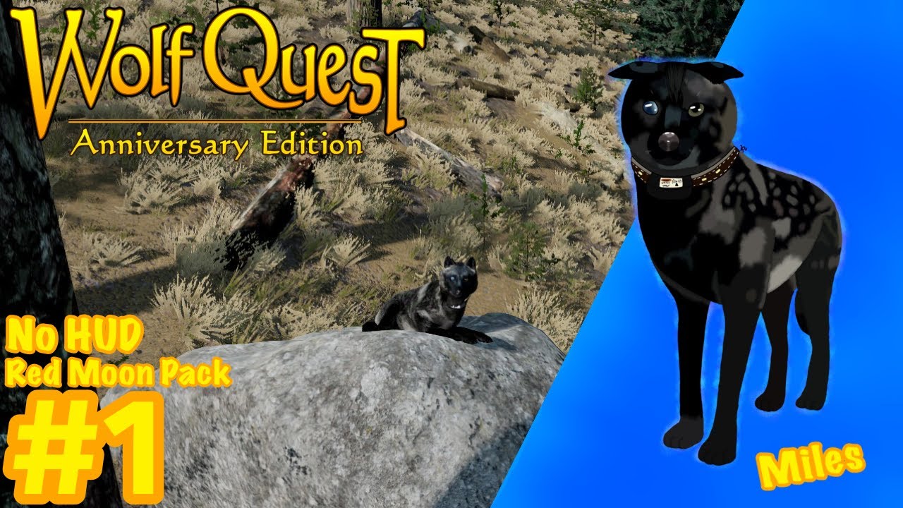 WolfQuest: AE No HUD | Dangerous First Steps! | Red Moon Pack: #1