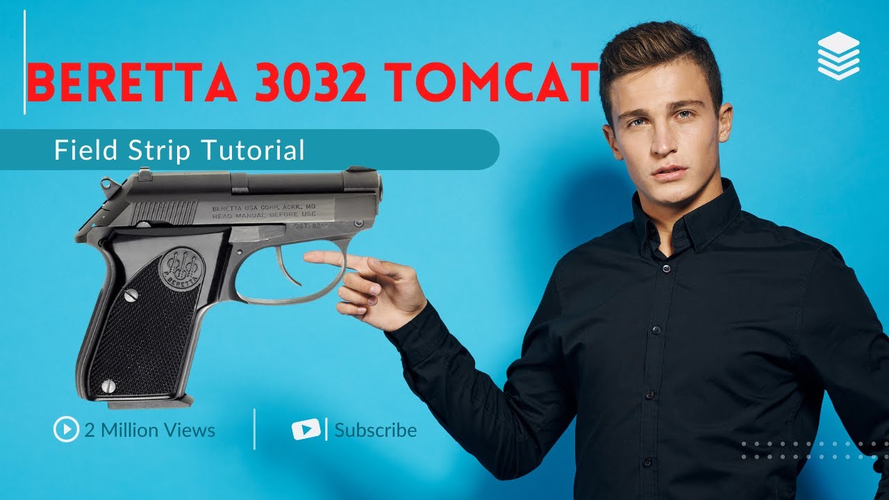 Beretta 3032 Tomcat, Field Strip Friday