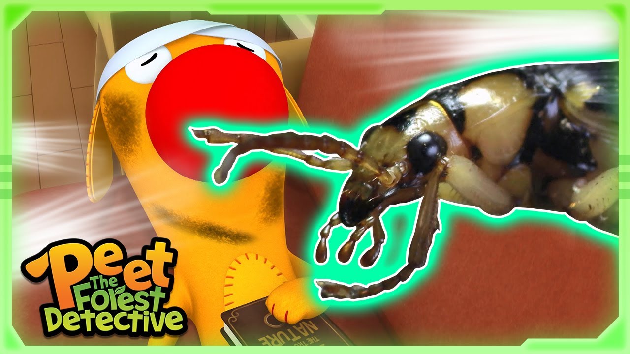 Dead Insects! Missing Body! 🐜🐸  | Full Episode | Cartoons for Kids | Peet The Forest Detective