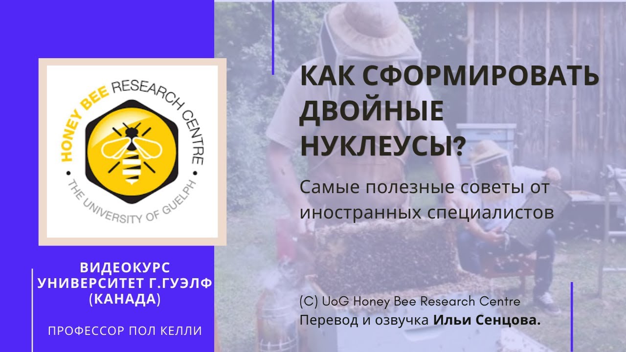 Как сформировать и заселить двойные нуклеусы? - Как сделать нуклеусы из улья для облета маток?