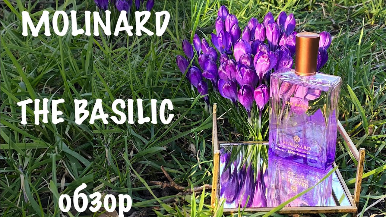 MOLINARD THE BASILIC обзор 💜 La Fraîcheur (Свежесть) 💜 Аромат Базилик