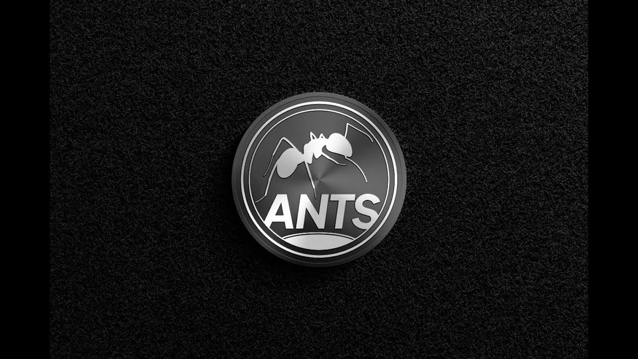 ANT Token &ndash; Small Effort, Big Reward.