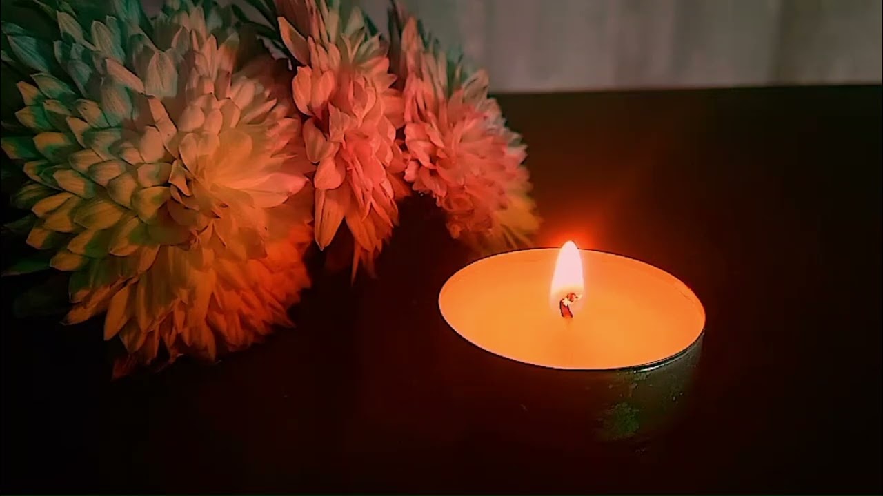 Candle Serenity - Natural Little Candle  #candlemeditation #naturevideo #naturevideography ^#relax